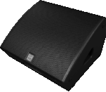 Martin Audio LE100 - 12" Passive Coaxial Differential Dispersion Stage Monitor (BLACK)